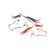 Alsace Grand Est Arabian Horse Festival 2017 Highlight video